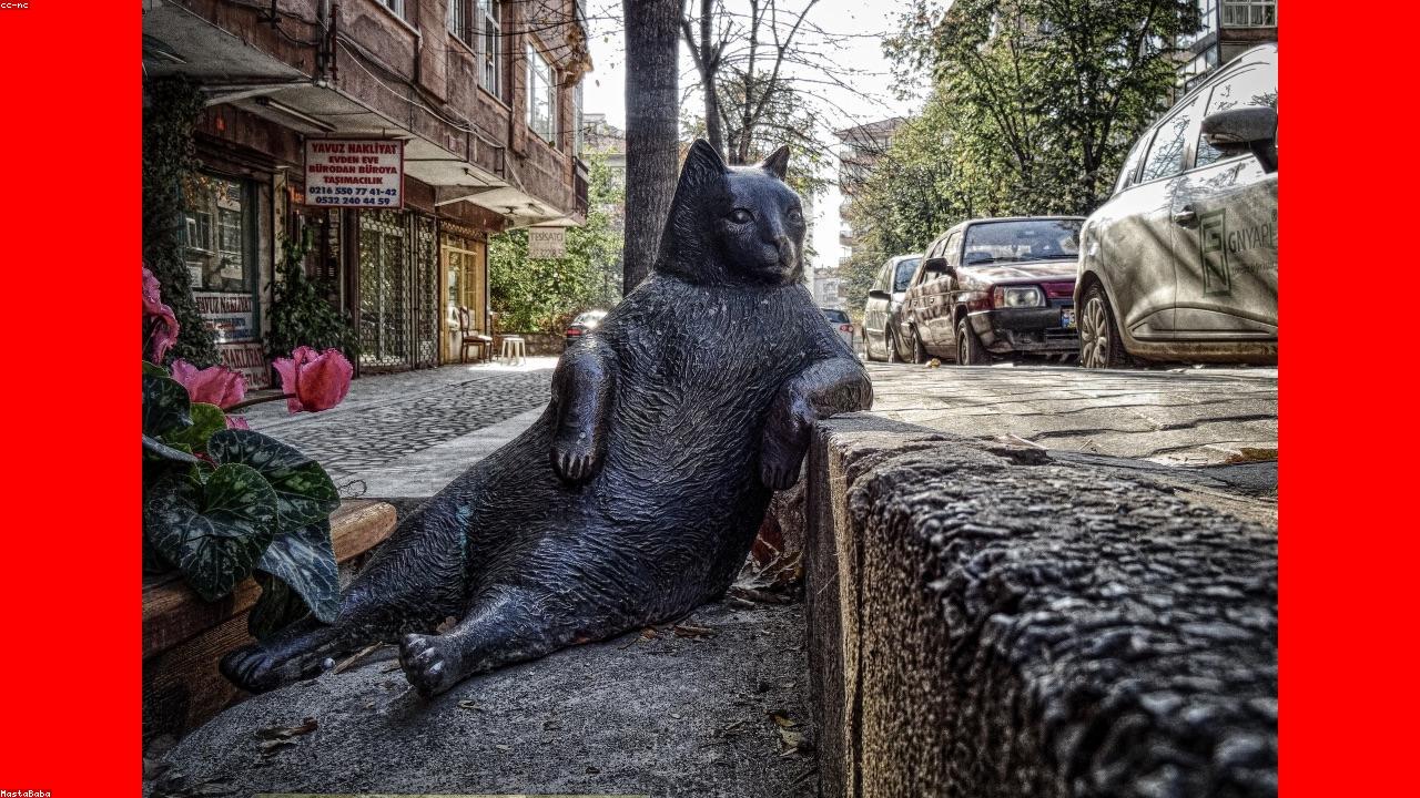 Schränke richtig aufbauen: Eine Anleitung jenseits der Beipackzettel